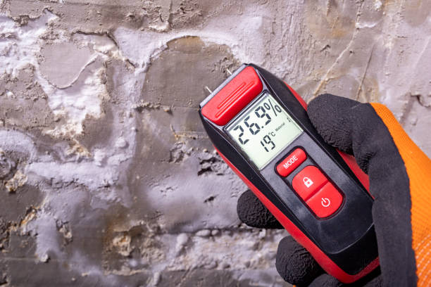Trusted Rosanky, TX Mold Removal Experts