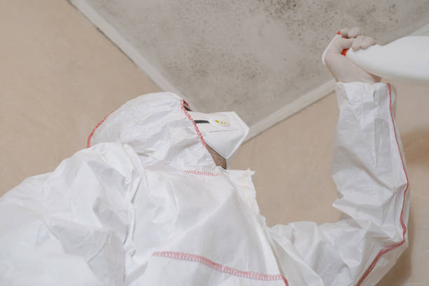 Home Mold Removal in Rosanky, TX