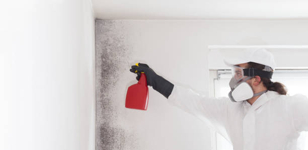 Best Professional Mold Removal  in Rosanky, TX