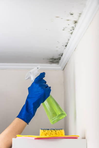 Best Crawl Space Mold Removal  in Rosanky, TX